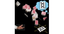 Bicycle Cards In The Air